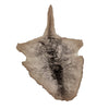 - Kangaroo Hide - UGG Boot Australia Online